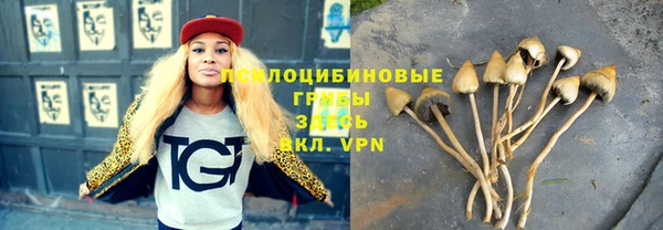 амф Абаза